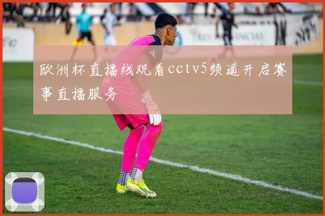 欧洲杯直播线观看cctv5频道开启赛事直播服务